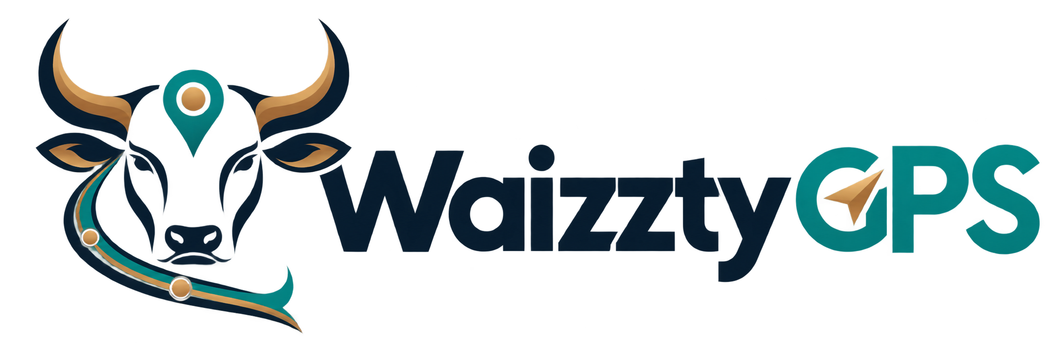 Waizzty GPS